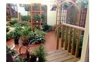 Plant Room - REAL ESTATE AUCTION, Crossroads Flowers